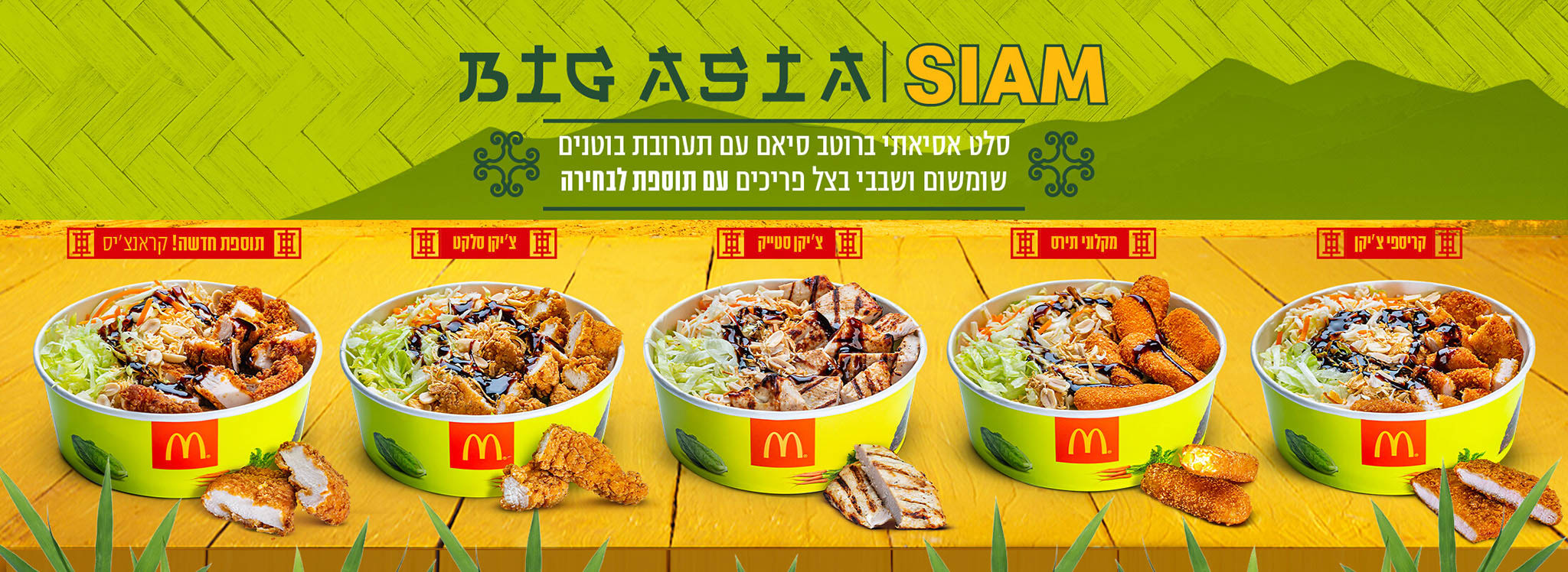 McDonalds Big Asia Salads
